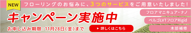 キャンペーン
