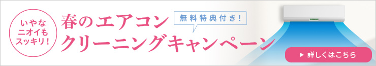 キャンペーン